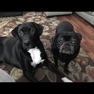 Meet your Posher, Kathy